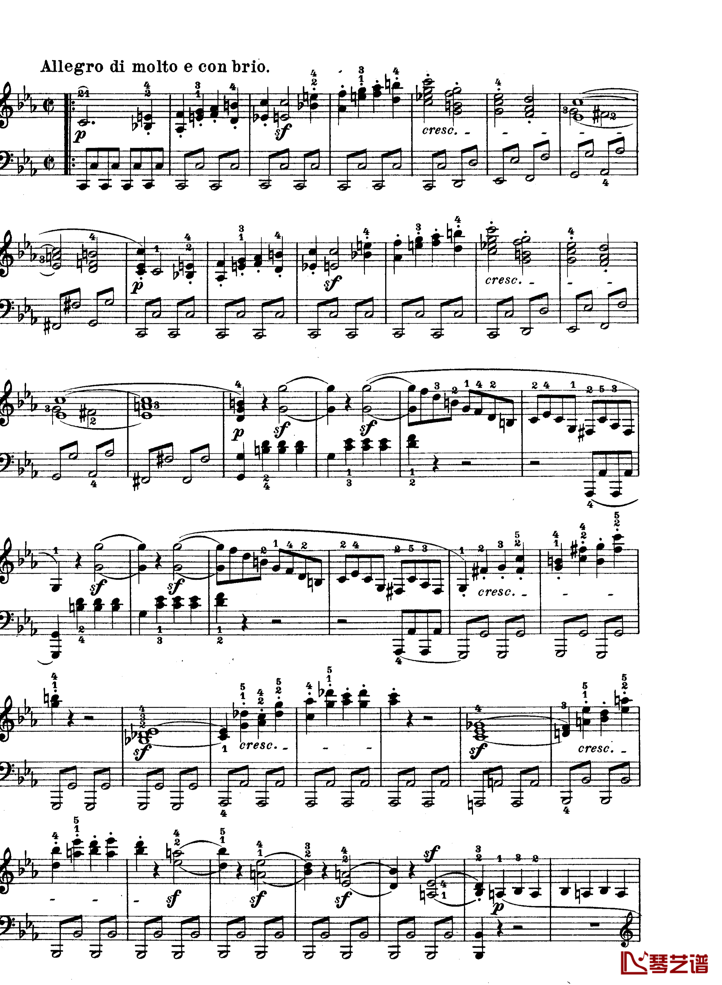C小调第八琴奏鸣曲钢琴谱-悲怆-贝多芬-beethoven